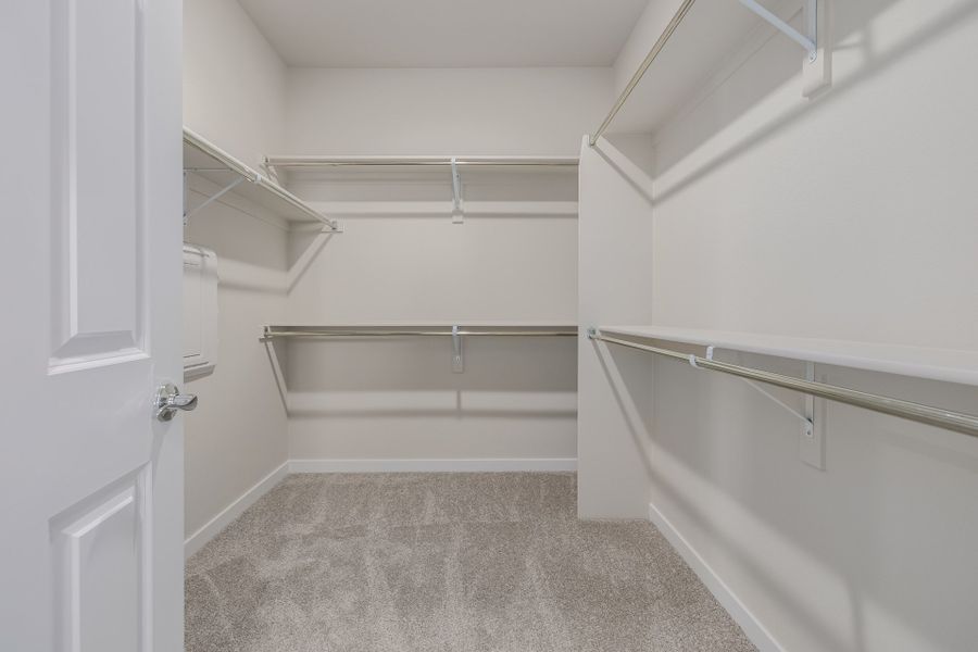 Spacious, unfurnished interior of a new home in Arras Park, Thornton (Image 32).