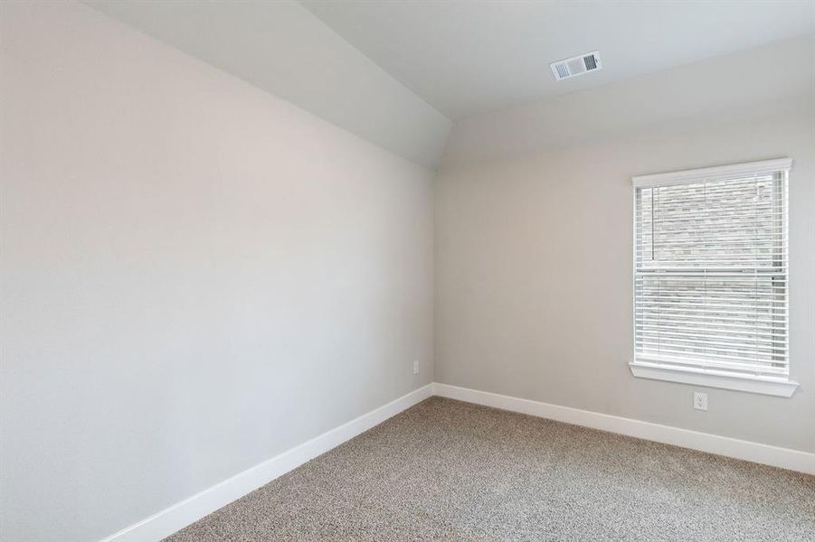 2101 Hazel Lily 2101 Hazel Lily