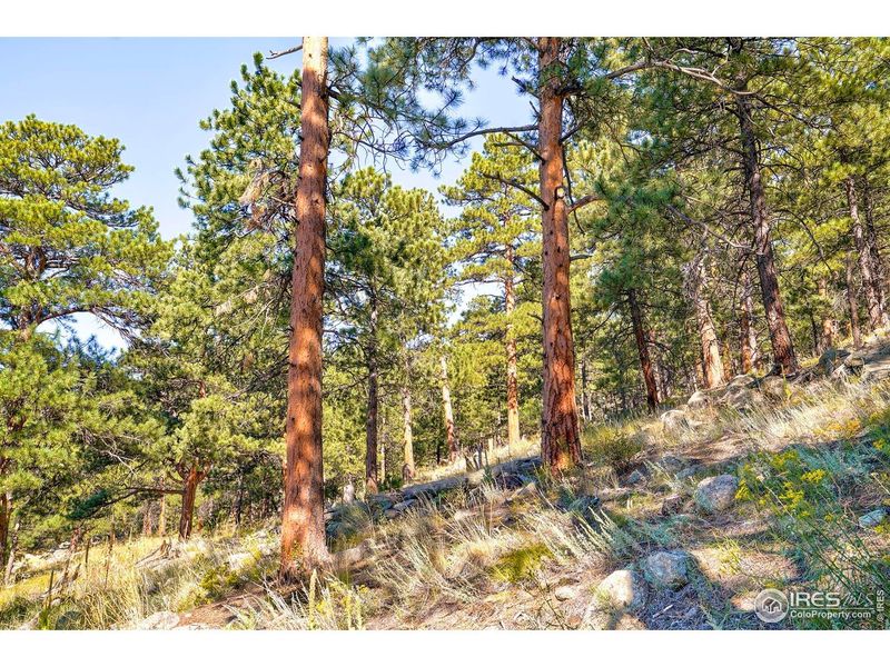 Natural landscape and outdoor views near in Boulder (Image 19). Natural landscape and outdoor views near in Boulder (Image 19).