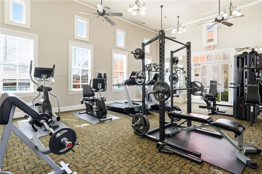 Community amenities in Carmichael Farms, Canton (Image 49).