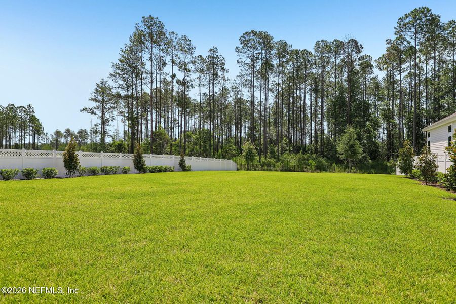 Natural landscape and outdoor views near SilverLeaf in St. Augustine (Image 65).