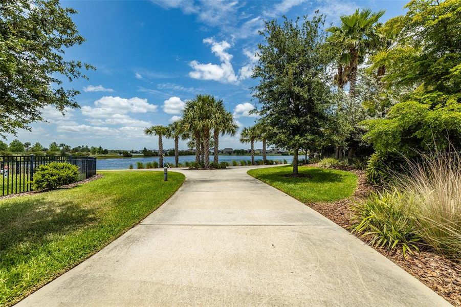 Natural landscape and outdoor views near Waterset Garden Series in Apollo Beach (Image 67).