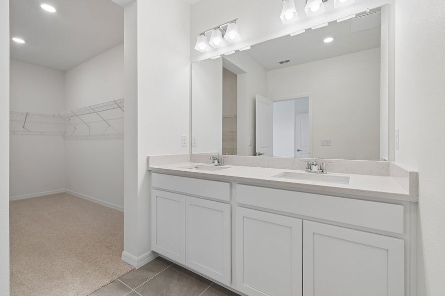 Owner's Bath
