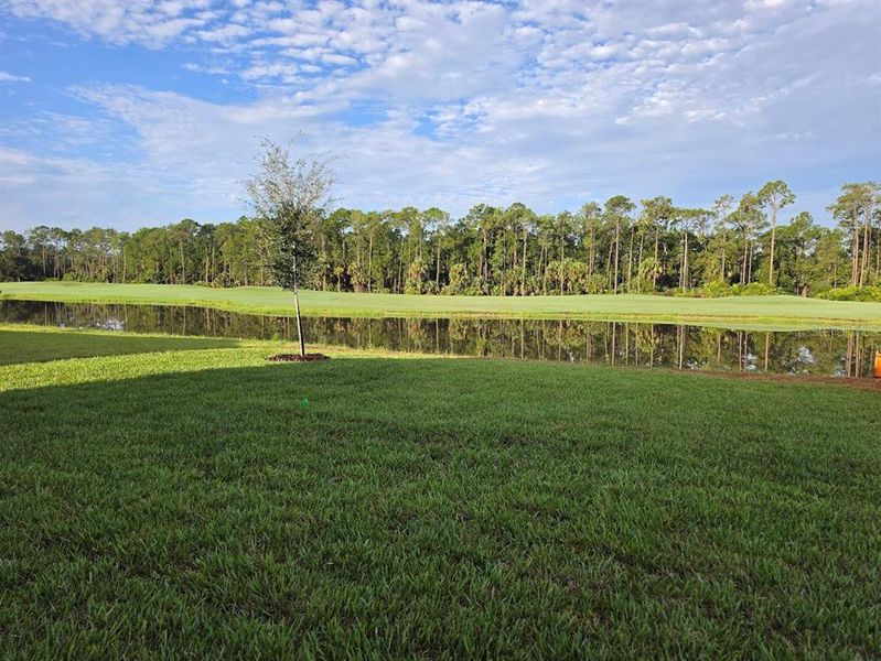 Natural landscape and outdoor views near  in Daytona Beach (Image 24).