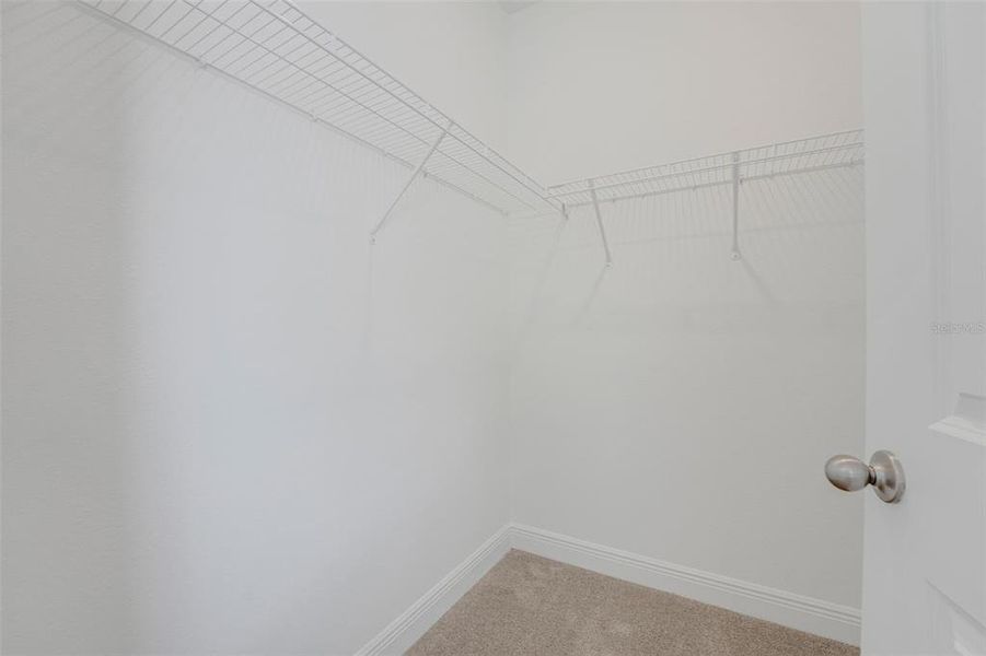 Spacious, unfurnished interior of a new home in Palms at Windermere, Windermere (Image 46).