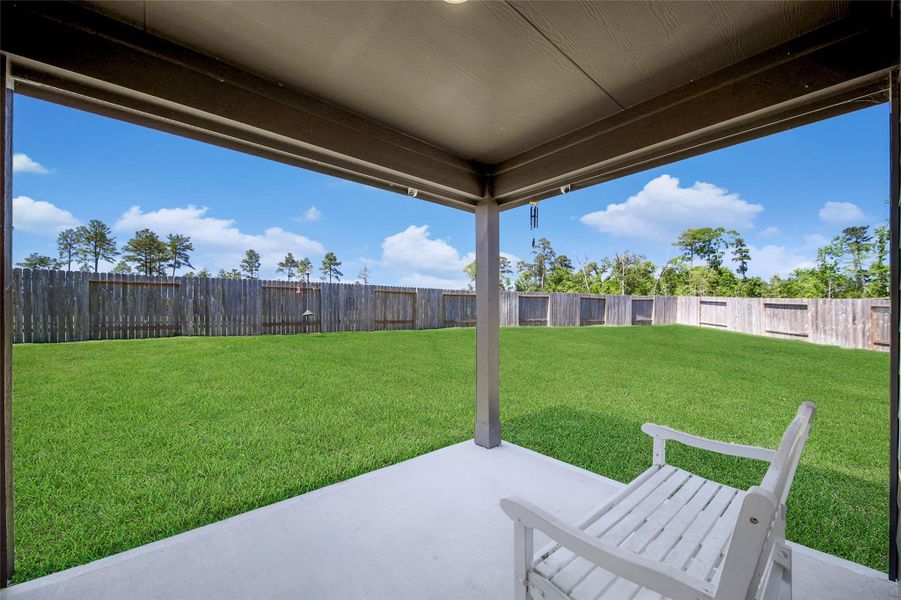 Exterior details and patio area of a home in The Canopies, Splendora (Image 21).