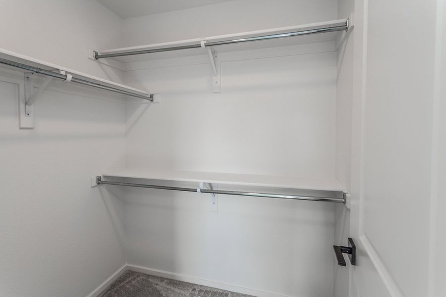 Spacious, unfurnished interior of a new home in Trailside, Timnath (Image 23).