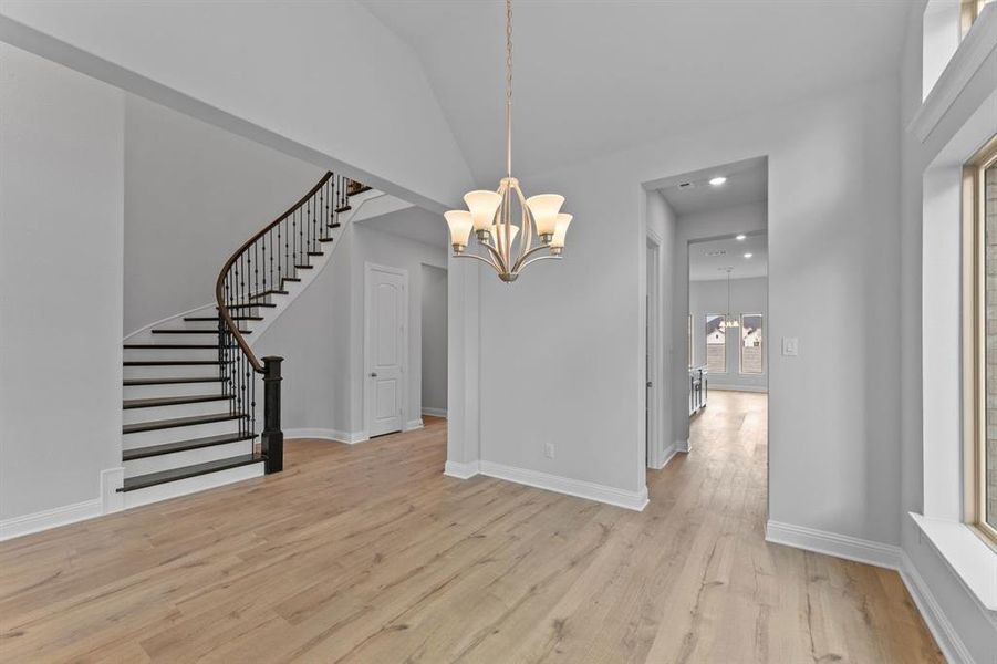 DAL_Painted Tree_Haskell II_4005 Gervais Drive (6)