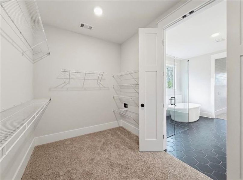 Spacious, unfurnished interior of a new home in , Rydal (Image 21). Spacious, unfurnished interior of a new home in , Rydal (Image 21).