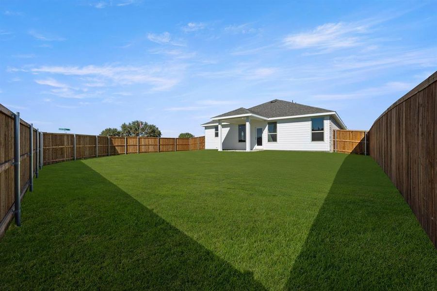 Large Backyard Large Backyard