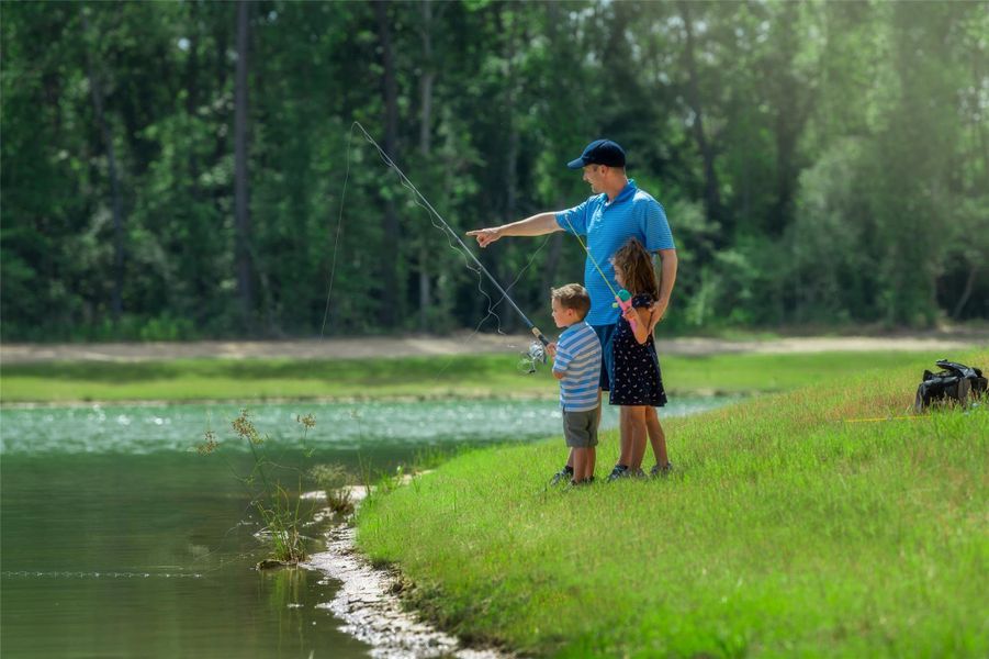 Image 19 of a home in The Highlands 45'.