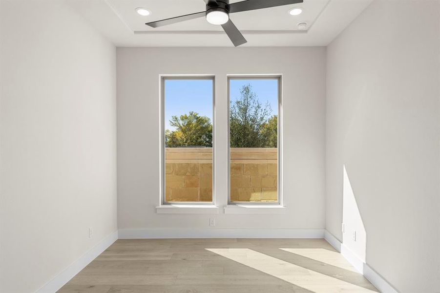 11. 741 Capella - Study 11. 741 Capella - Study