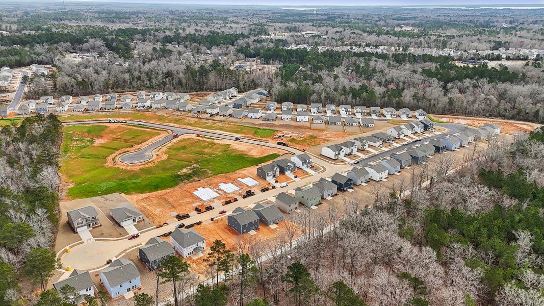 Image 80 representing the Darcy II by Great Southern Homes in Shady Grove, Conway, SC.