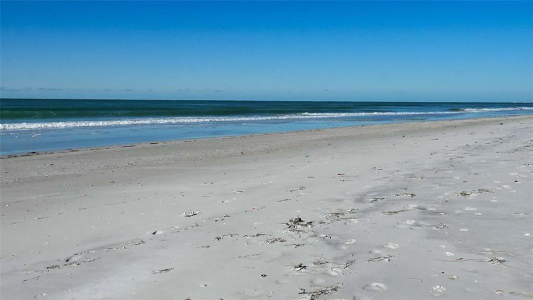 Natural landscape and outdoor views near  in Longboat Key (Image 49).