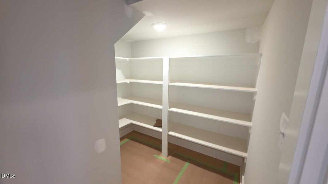 212 Rawhide (15) (Medium)