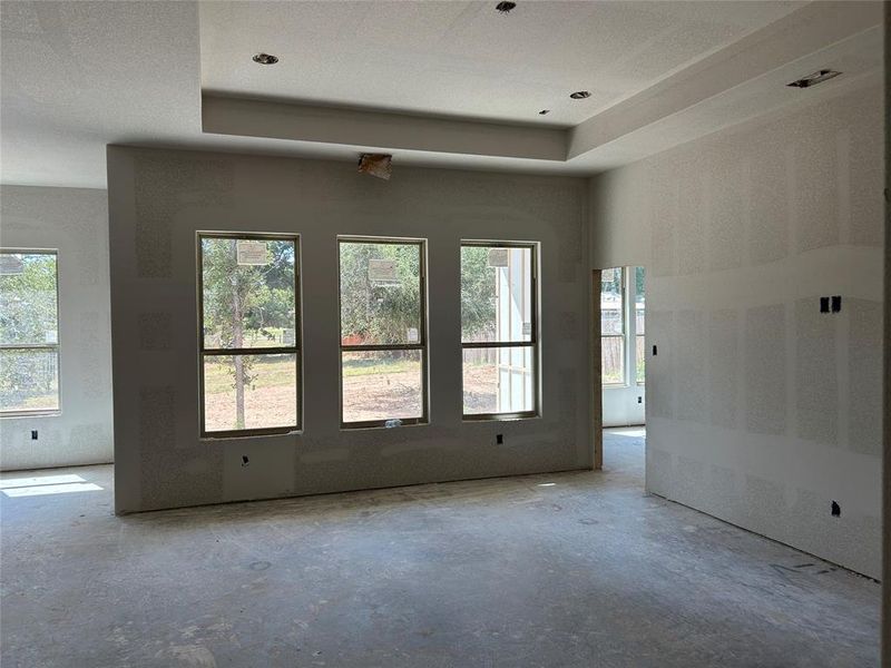 Tons of Natural Light in Living and Kitchen