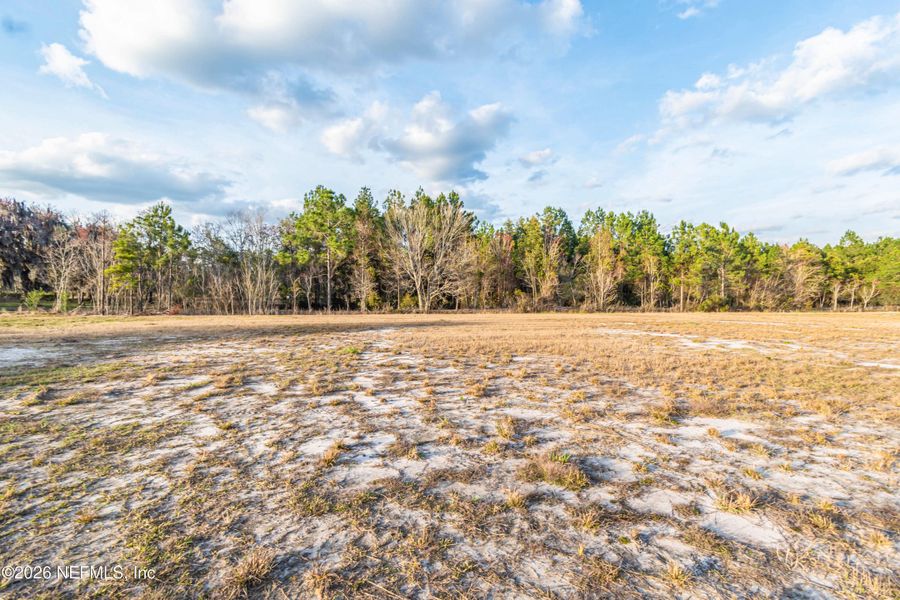 Natural landscape and outdoor views near  in Sanderson (Image 26).