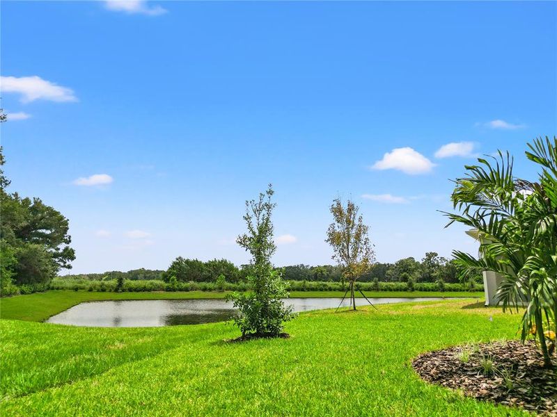 Natural landscape and outdoor views near  in Parrish (Image 39).