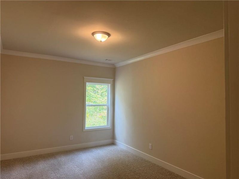 Spacious, unfurnished interior of a new home in Rosewood Lake Estates, Hoschton (Image 13).