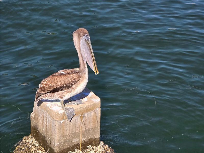 Image 32 of a home in .