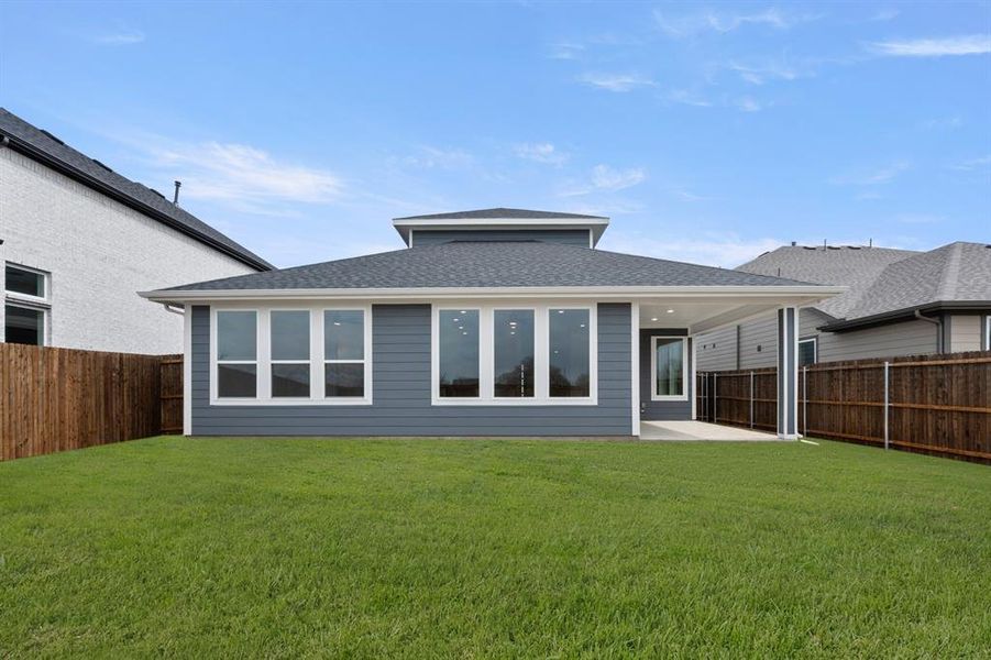 1725 Nesting Robin- Back-4712