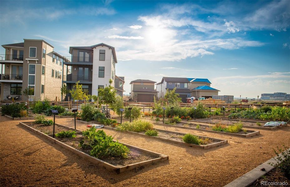 Painted Prairie Community Painted Prairie Community