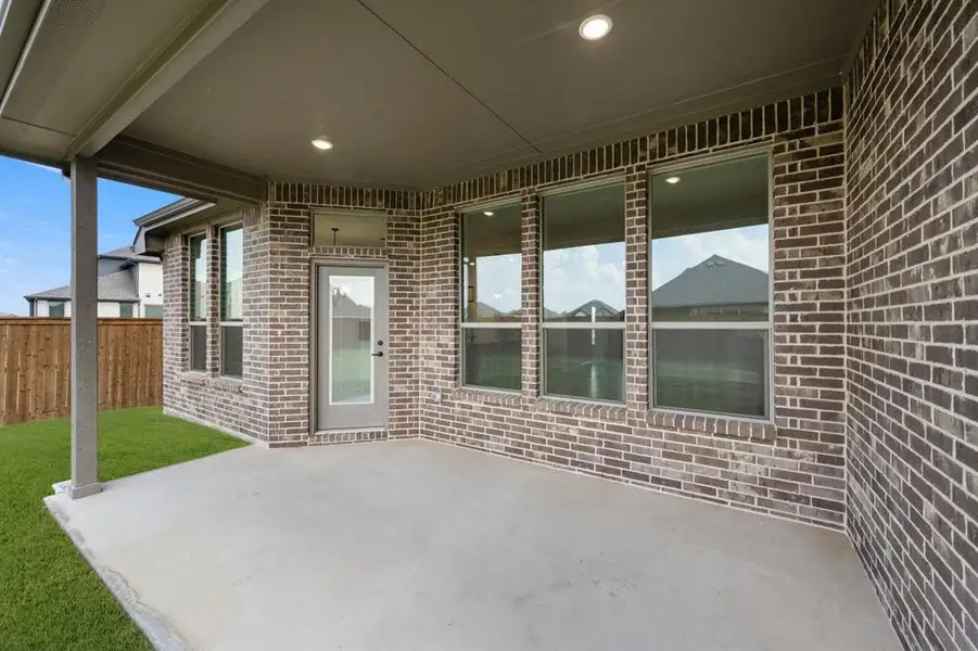 7725 Sweet Sorghum- Patio