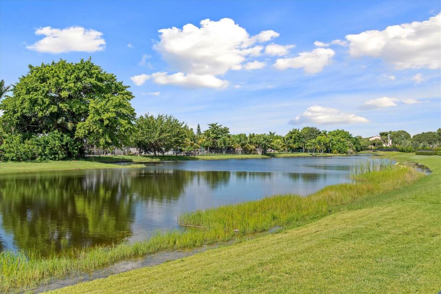 Natural landscape and outdoor views near  in Weston (Image 87).