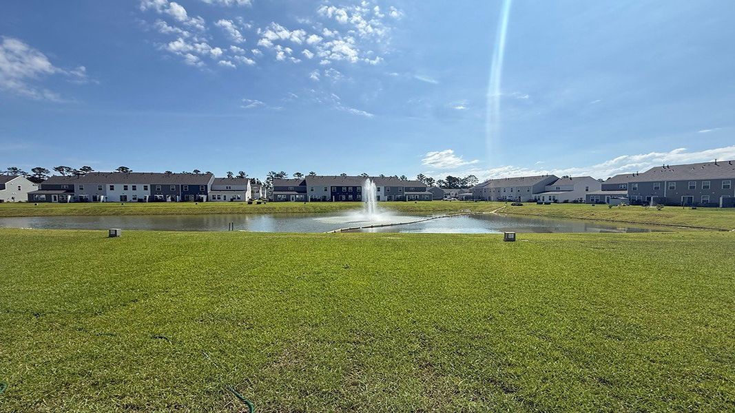 Natural landscape and outdoor views near Pine Hills Townhomes at Cane Bay in Summerville (Image 35). Natural landscape and outdoor views near Pine Hills Townhomes at Cane Bay in Summerville (Image 35).