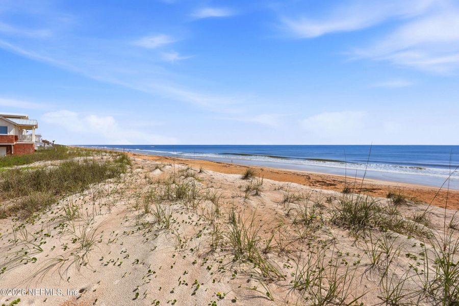 Natural landscape and outdoor views near  in Ponte Vedra Beach (Image 23).