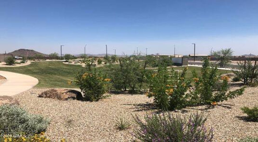 Los Cielos at Rancho Mercado Community