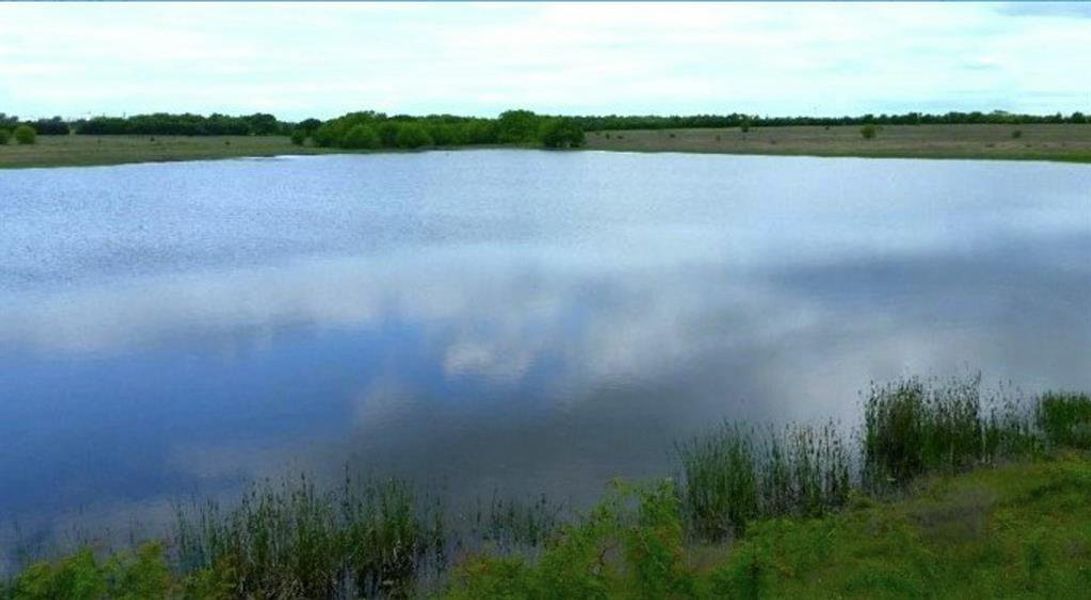 Natural landscape and outdoor views near Discovery Lakes in Rockwall (Image 7).