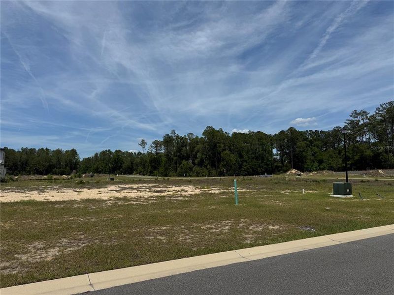 Site preparation for new homesites in Laureate Village, Newberry (Image 5).