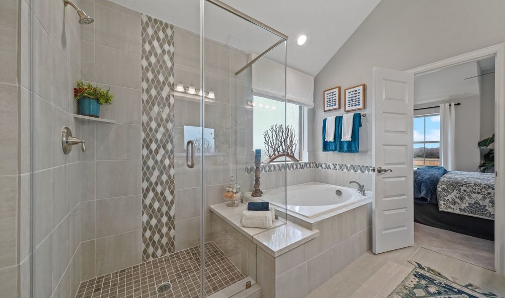 Spa tub and shower