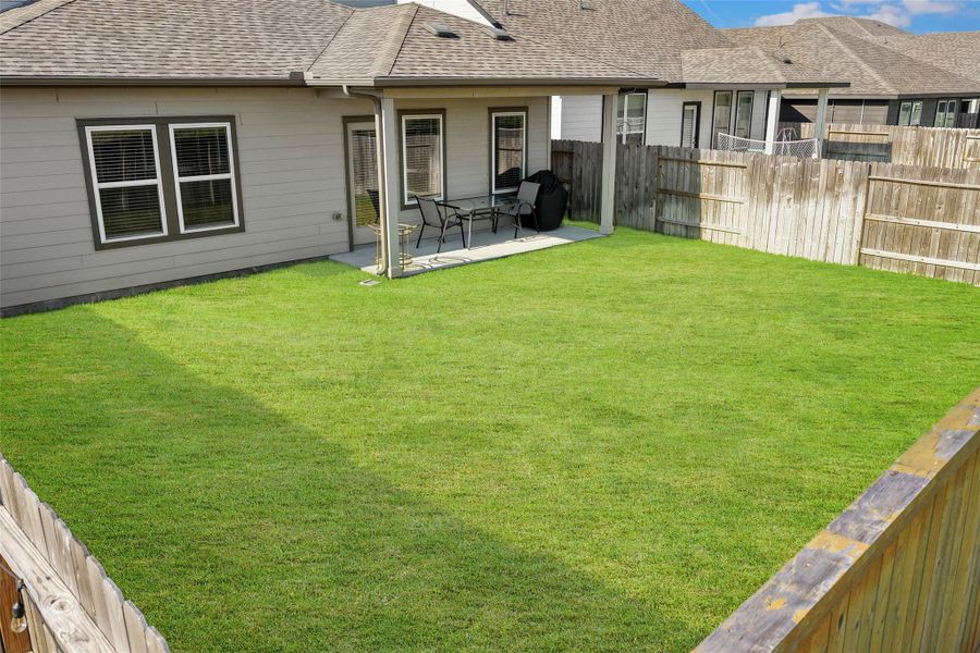 Another view of the backyard.