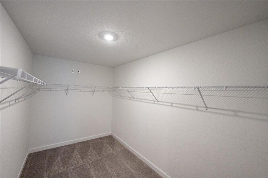 05-6338 Windwood-0503