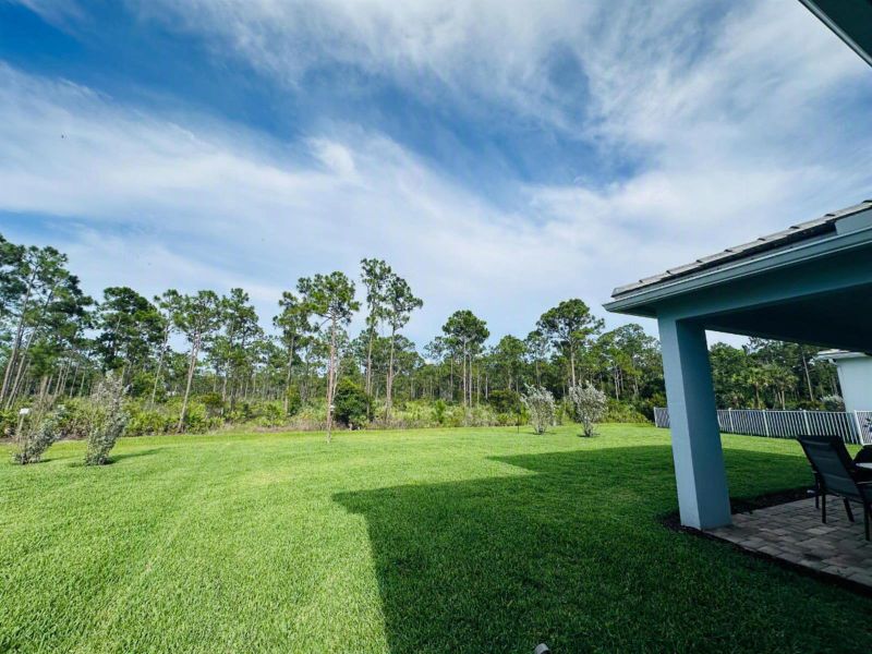 Wide open private yard Wide open private yard