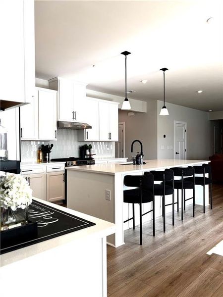 Furnished interior view inside a new home in , Locust Grove (Image 43). Furnished interior view inside a new home in , Locust Grove (Image 43).