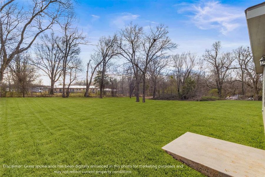 View of grassy yard