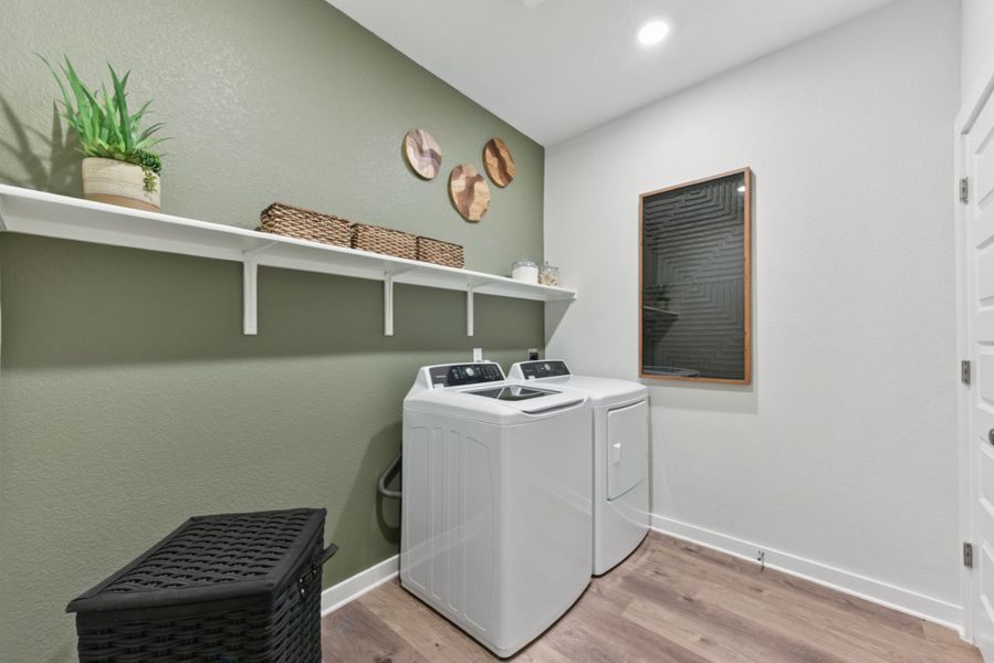 A room with a shelf and a table with a plant on it.