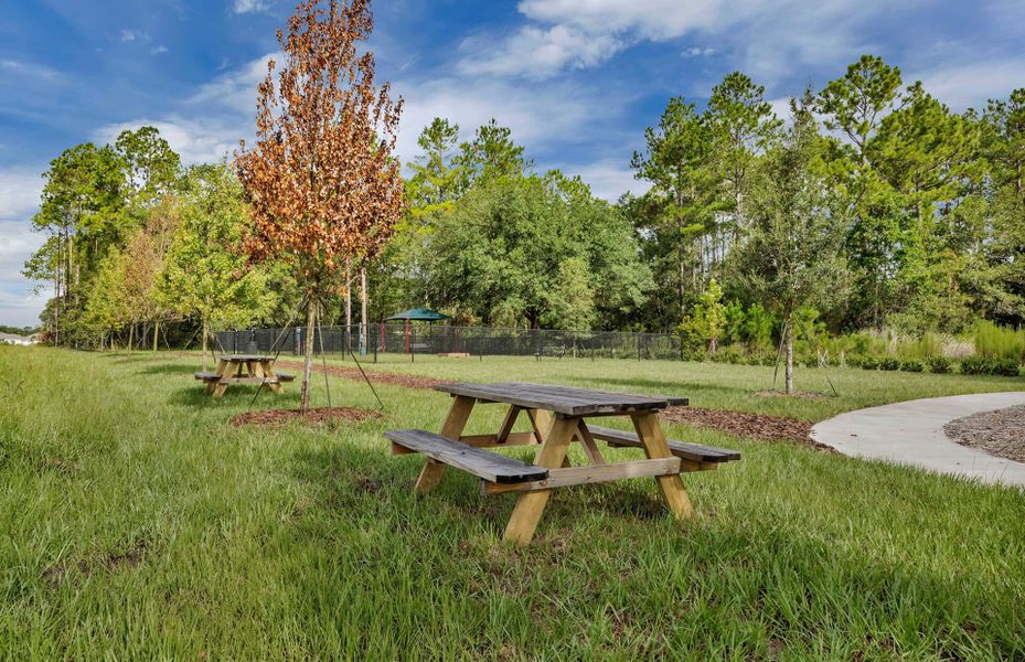 Image 27 of a home in Double Branch.