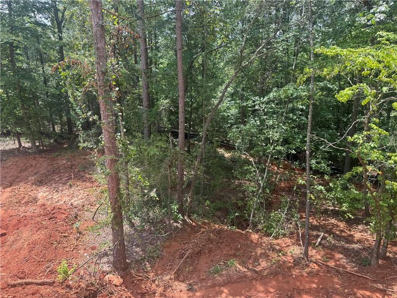 Natural landscape and outdoor views near The Fields of Walnut Creek in Pendergrass (Image 13). Natural landscape and outdoor views near The Fields of Walnut Creek in Pendergrass (Image 13).