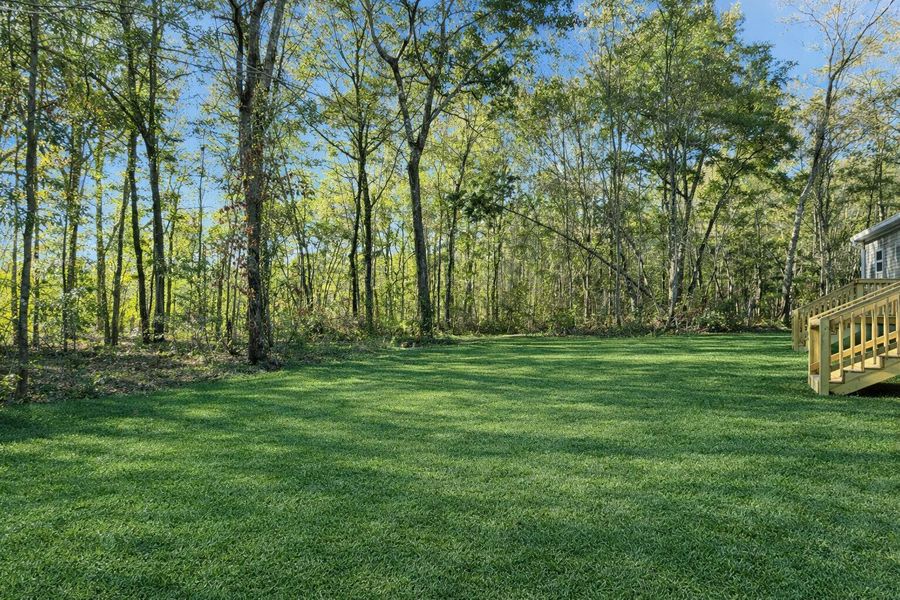 Natural landscape and outdoor views near  in Walterboro (Image 30).