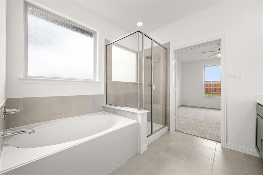 Cottonwood II Cottonwood II