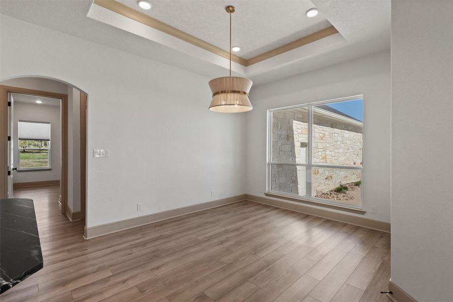 Spare room featuring a raised ceiling, wood finished floors, and arched walkways