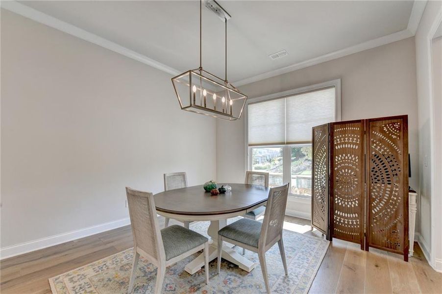 Furnished interior view inside a new home in , Canton (Image 3).