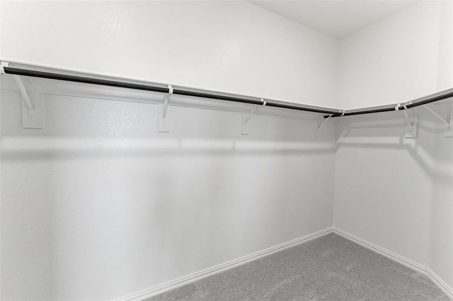 Walk in closet featuring light colored carpet