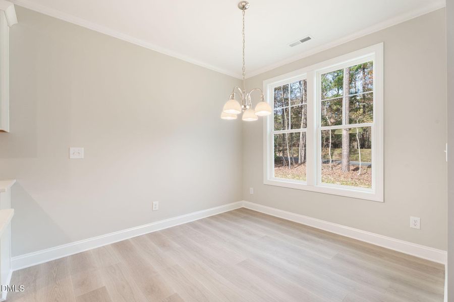 14-web-or-mls-DSC00022