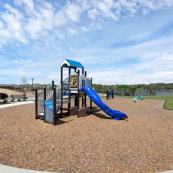 Community amenities in , Tavares (Image 43).