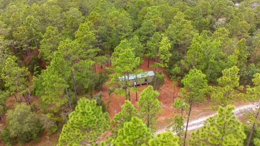 Natural landscape and outdoor views near  in Dunnellon (Image 6).
